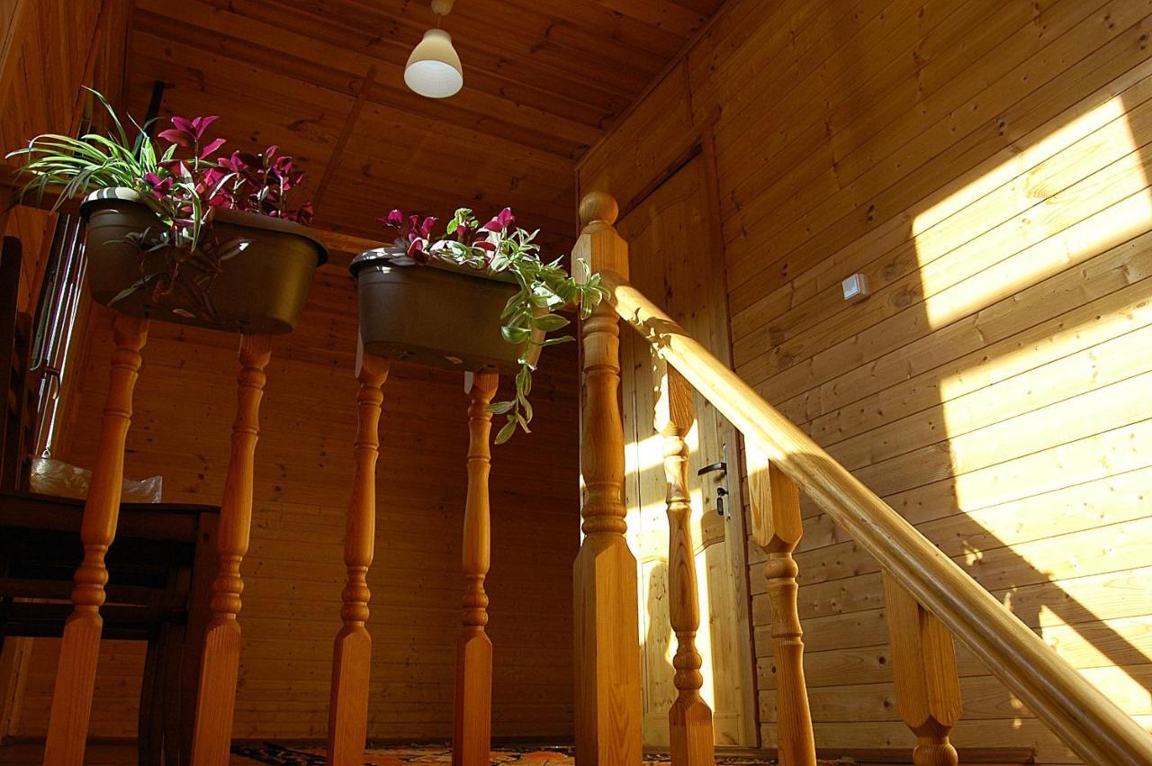 Badishi Guesthouse Mestia Eksteriør billede